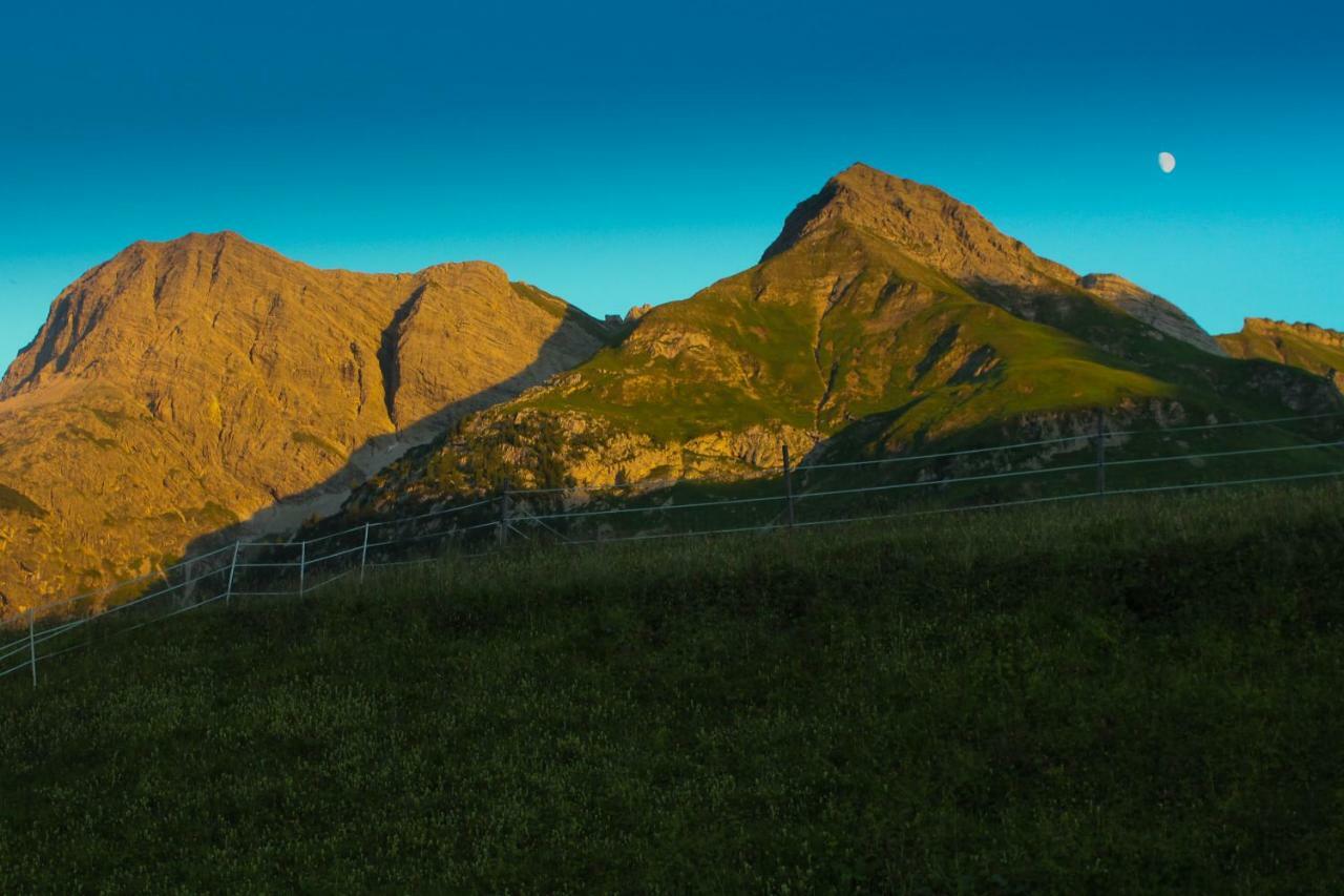 Alpenappartement Bergkoenig Warth  Zewnętrze zdjęcie